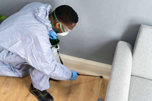 Best Fumigation Services  in Buhl, ID